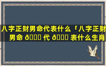 八字正财男命代表什么「八字正财男命 🐞 代 🕊 表什么生肖」